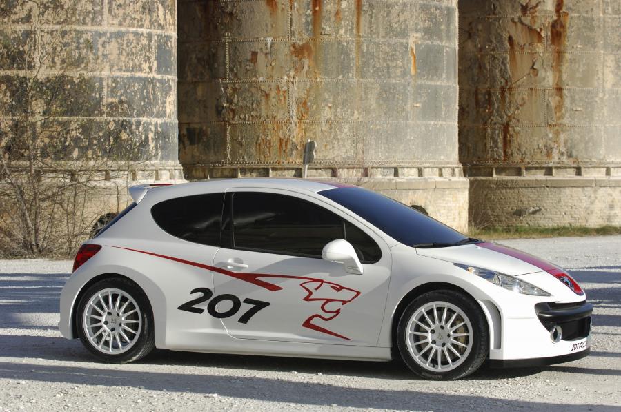  Peugeot 207 RCup 2006 года  (фото 9 из 10)